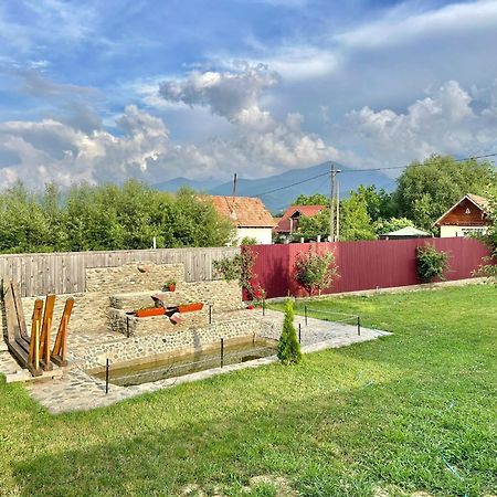 Pensiunea Casa Nina Cîrţişoara Buitenkant foto