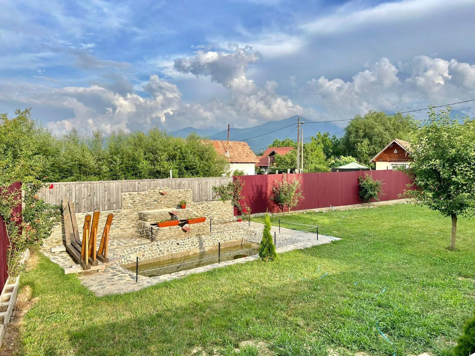 Pensiunea Casa Nina Cîrţişoara Buitenkant foto