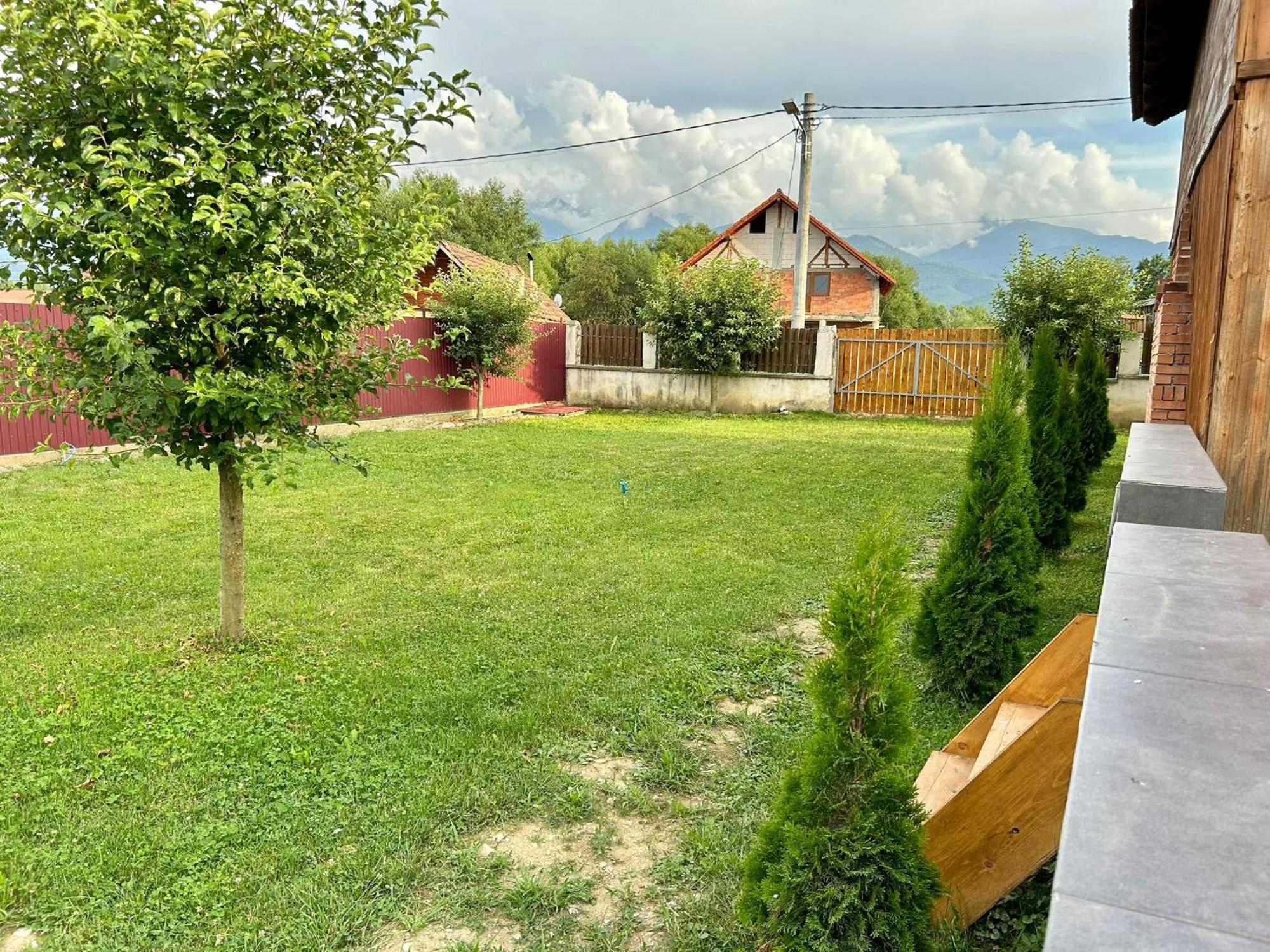 Pensiunea Casa Nina Cîrţişoara Buitenkant foto