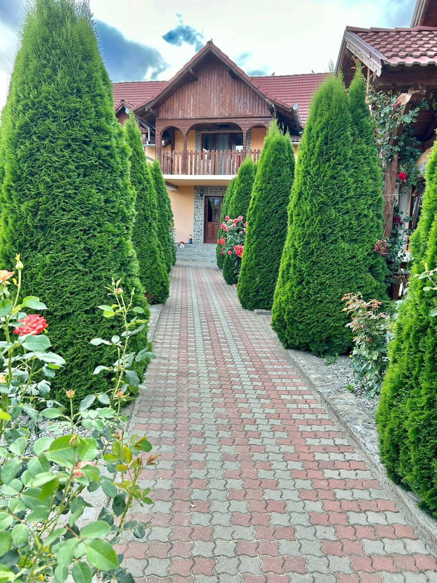 Pensiunea Casa Nina Cîrţişoara Buitenkant foto